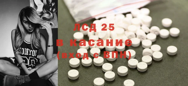 крисы Козельск