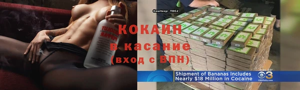 крисы Козельск