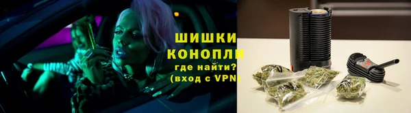 крисы Козельск