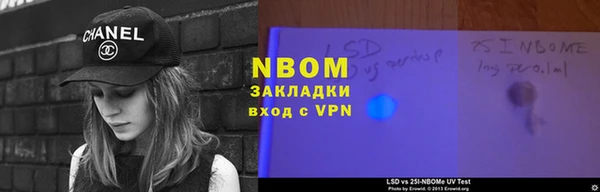 крисы Козельск