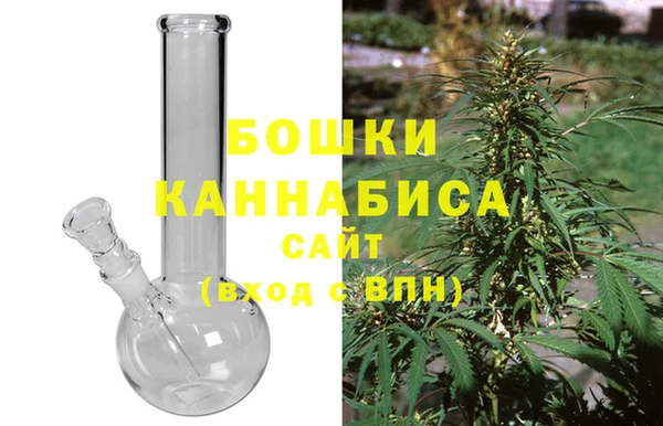 крисы Козельск