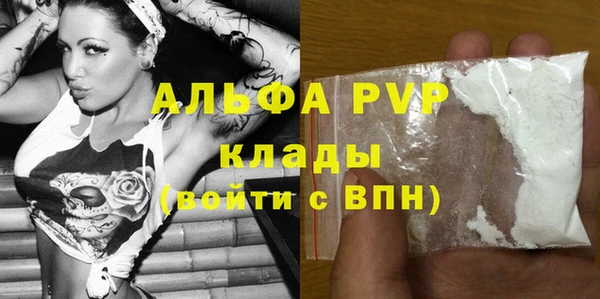 крисы Козельск