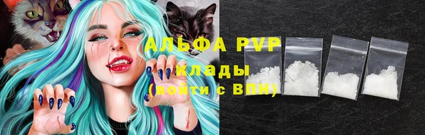 крисы Козельск
