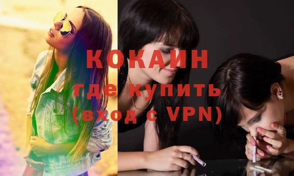 крисы Козельск